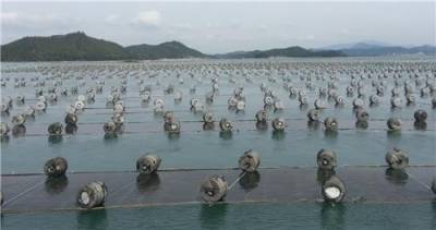 金된 김값 좀 떨어지려나…"최악의 상황보다 나아질 것"