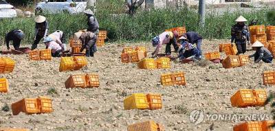 국내 등록외국인 160만명 넘어…2명 중 1명은 수도권 거주