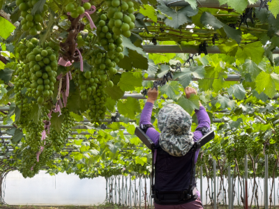 정의선 회장의 ‘사람 중심’ 철학…현실 동반자 된 ‘웨어러블 로봇’