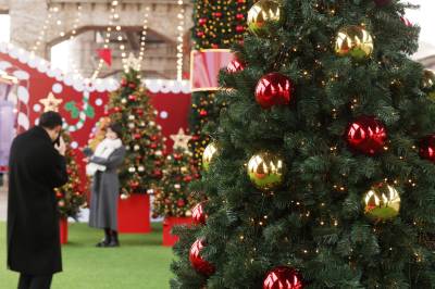 “여동생 수술비 급해” 속여 4500만원 편취…30대 여성 실형