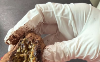 '두바이 쫀득 쿠키' 속에 소면?…유행 디저트, 원재료 논란에 시끌