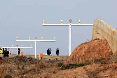 무안공항, ‘반경 5km’만 조류충돌 예방 관리