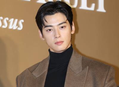 차은우, 母 회사로 200억 탈세 의혹…"법 해석이 쟁점" 해명