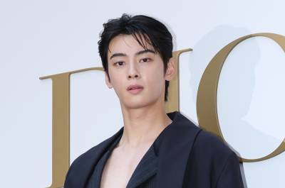 "연예인 수백억 탈세 막자"…'차은우 방지법' 발의