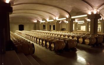 불멸의 스위트 와인 황제라 불리는 ‘샤토 디켐’ [와인인문학]