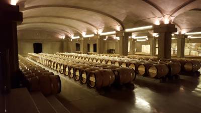 불멸의 스위트 와인 황제라 불리는 ‘샤토 디켐’ 