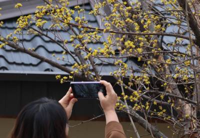 낮 최고 17도 ‘봄 날씨’…강원·경북은 밤부터 눈·비