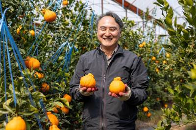 “쿠팡, 큰 힘이 된다”...미소 짓는 제주 농가