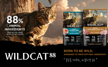 동물성 원료 88%·생육 기반 ‘와일드캣88’ 첫 공개