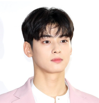 실납부액 약 130억 '전액 납부'...차은우 세금 논란 일단락