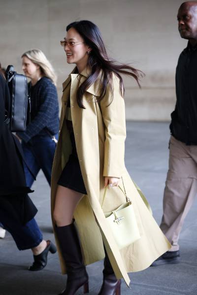 하예린부터 앤 해서웨이까지..롱샴 ‘르 로조’, 글로벌 셀럽 잇백 부상