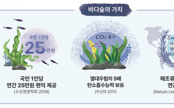 “바다에도 식물 심는다” 국민은행이 ‘바다숲’ 만든 이유