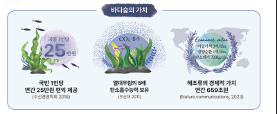“바다에도 식물 심는다” 국민은행이 ‘바다숲’ 만든 이유
