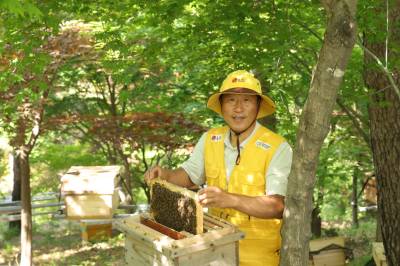 멸종위기 라더니?…LG가 일궈낸 ‘400만 토종벌’의 기적