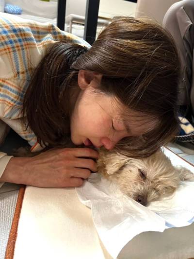 '이혼' 정가은, 안타까운 이별 '눈물'…"죄책감 들어해" 왜?